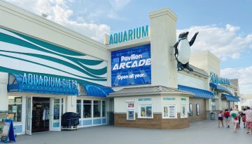 Visitors viewing marine animals at Jenkinson’s Aquarium in Point Pleasant Beach, NJ